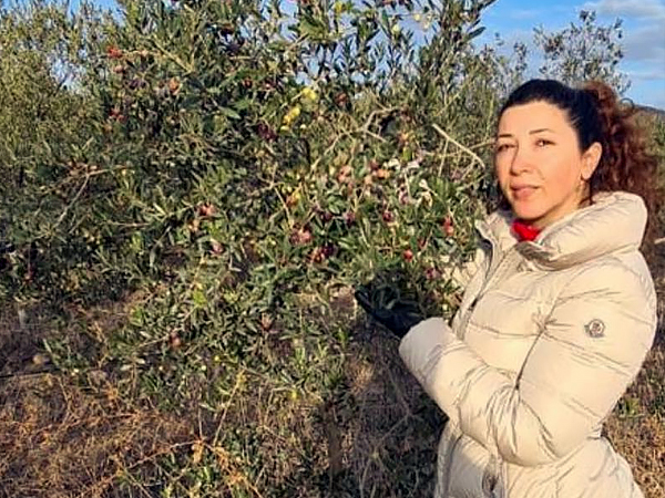 Birsen Hanım Zeytinyağı Hakkında