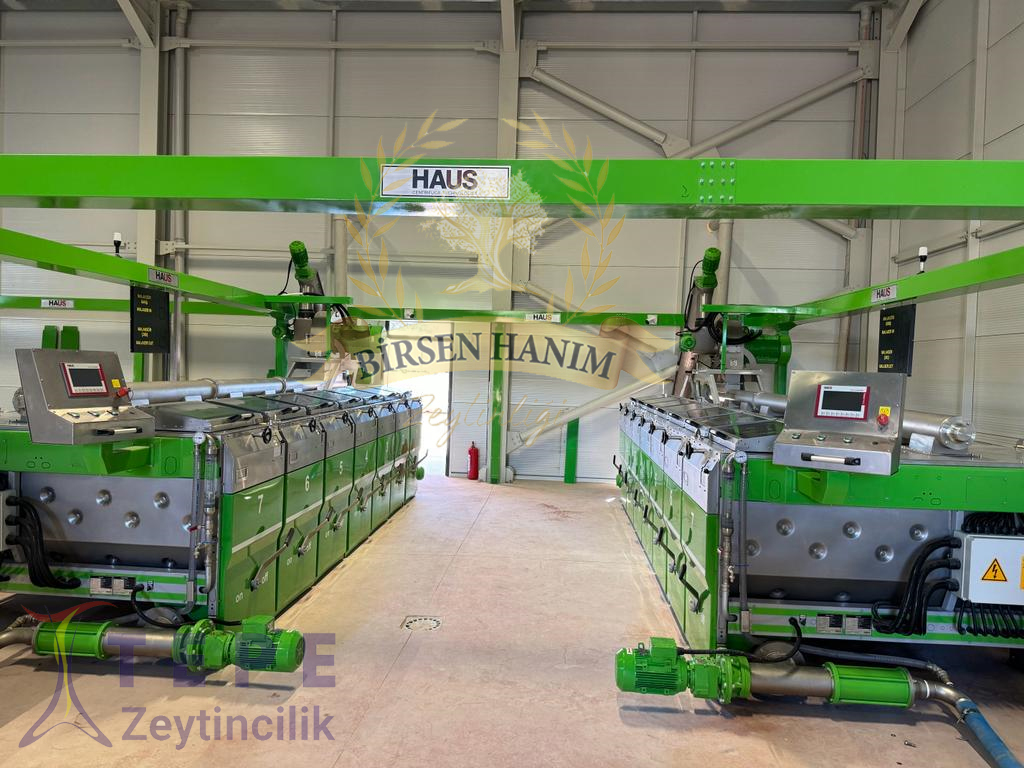 birsen hanım zeytin yağları