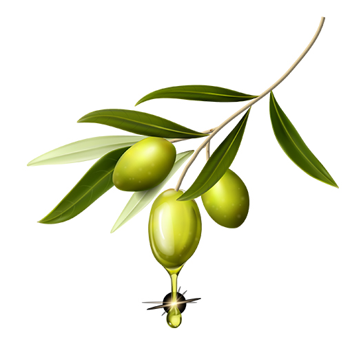 Natural Extra Virgin Olive Oil